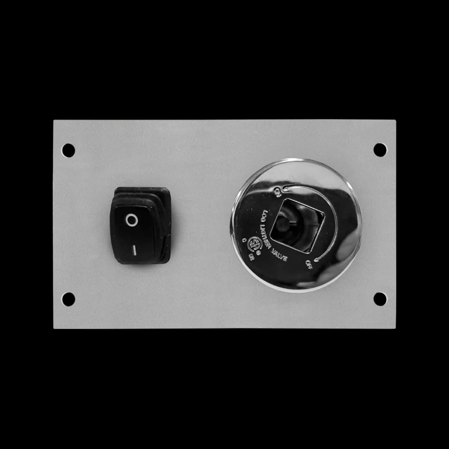 Sku AWS FACEPLATE