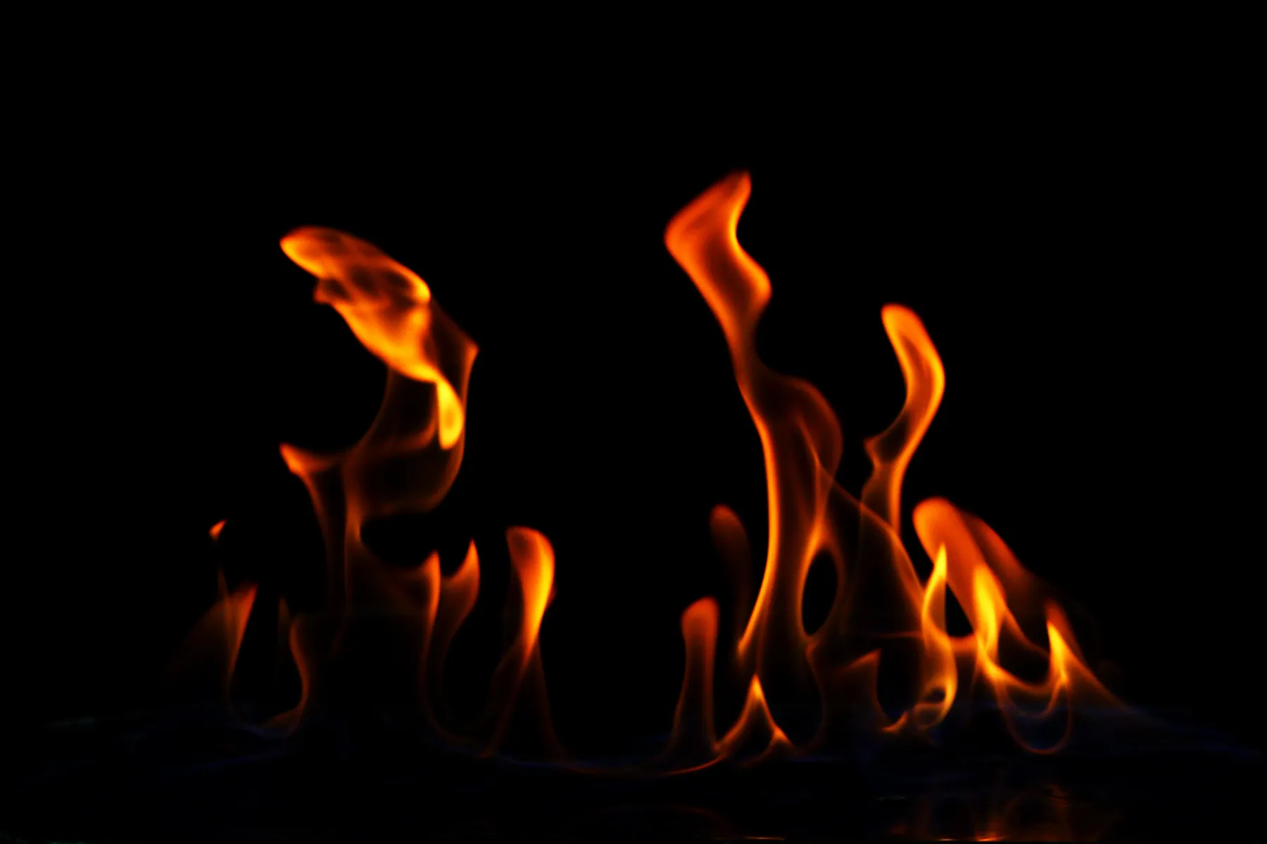 Dancing flames against a pure black backdrop 2026 09 22 04 29 00 utc 1