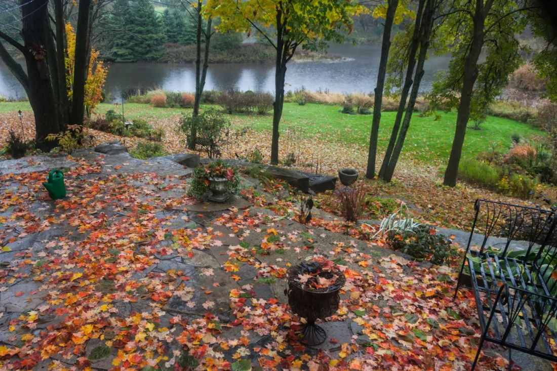 Prepping Your Backyard for Fall